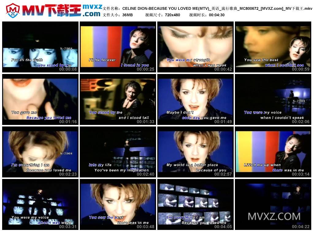 CELINE DION-BECAUSE YOU LOVED ME(MTV)_英语_流行歌曲_MC800672